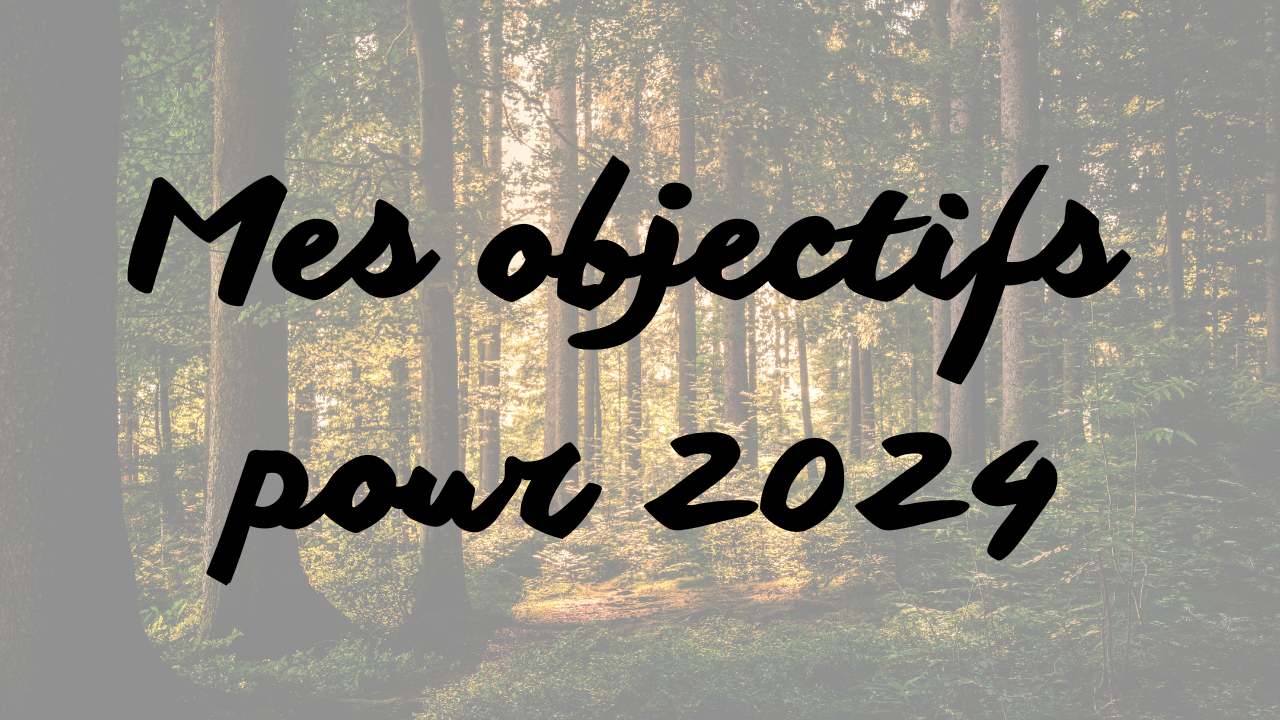 Mes objectifs pour 2024